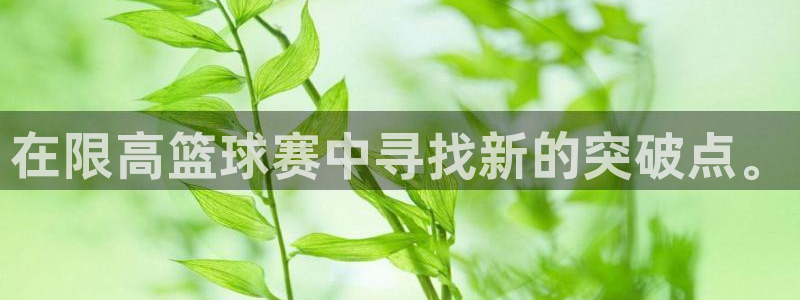 在限高篮球赛中寻找新的突破点。
