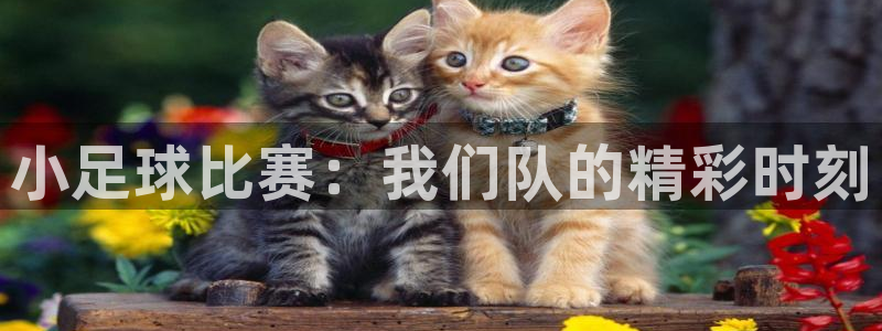  小足球比赛：我们队的精彩时刻