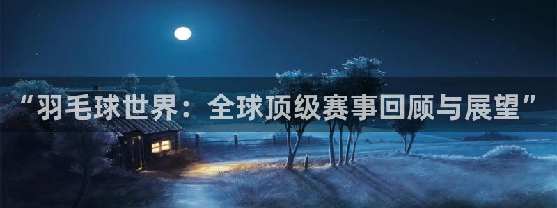 “羽毛球世界：全球顶级赛事回顾与展望”