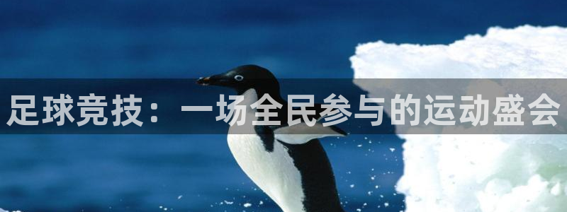 b体育网站：足球竞技：一场全民参与的运动盛会