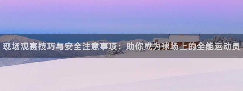B0B体育安卓下载：现场观赛技巧与安全注意事项：助你成为球场
