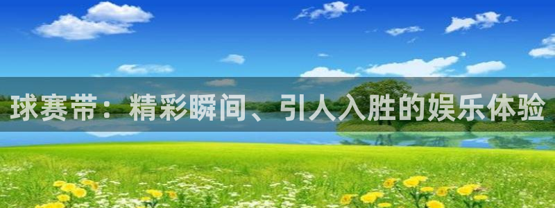  b体育是正规的吗：球赛带：精彩瞬间、引人入胜的娱乐体验
