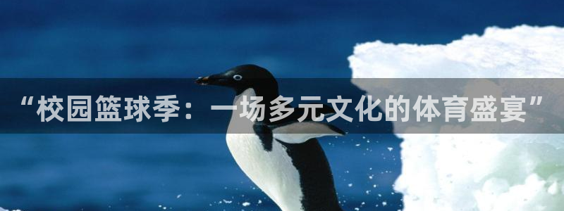 b体育旧版官网下载：“校园篮球季：一场多元文化的体育盛宴”