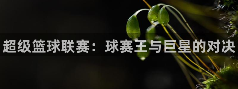 kb体育平台下载：超级篮球联赛：球赛王与巨星的对决