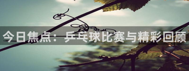  b体育官网登录入口：今日焦点：乒乓球比赛与精彩回顾