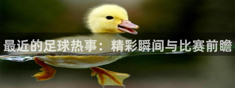 b体育官网入口有新政策了吗：最近的足球热事：精彩瞬间与比赛前