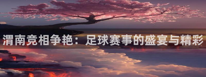 b体育：渭南竞相争艳：足球赛事的盛宴与精彩