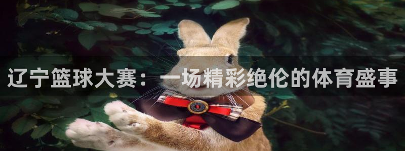  b0b体育半岛官网平台下载：辽宁篮球大赛：一场精彩绝伦的体育